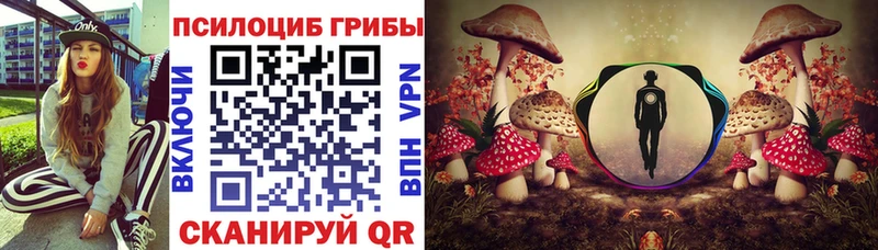 Псилоцибиновые грибы Psilocybe  Керчь 