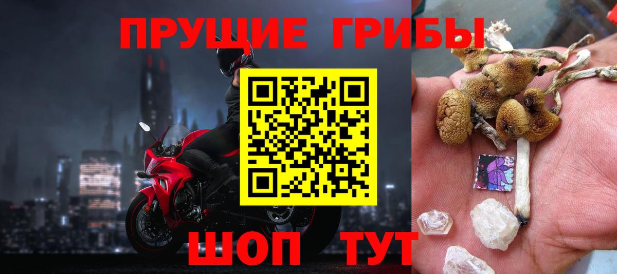 Псилоцибиновые грибы мухоморы  Псилоцибиновые грибы прущие грибы  Вход с VPN  Керчь 