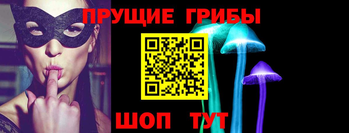 Галлюциногенные грибы Psilocybine cubensis Керчь